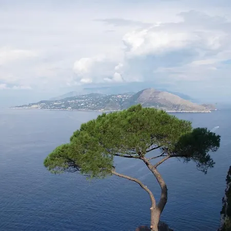 Villa Villa Capri *